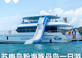 懒猫旅行豪华游艇 泰国旅游 苏梅岛一日游 丹岛猪岛快艇浮 观海豚之旅