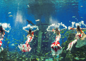 【酒店套餐】周末不加价|济南施柏阁酒店1晚+双早+双人融创海世界/水世界/乐园