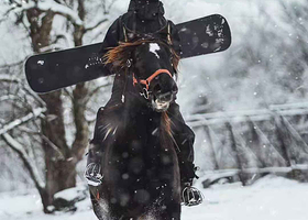 哈尔滨黑狮森林雪骑公园【骑马拍照体验】