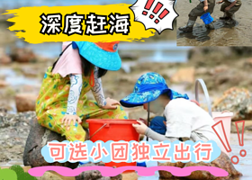 青岛崂山+会场赶海园一日游【赶海小众游/青山渔村打卡/泉心河沙滩/沙子口广场/免费提供赶海工具】