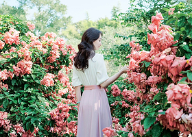 中国科学院西双版纳热带植物园一日游【精品小团丨市区接送丨行程自由】