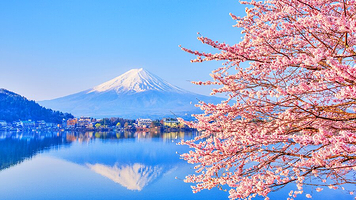 东京富士山+ 东京富士山+箱根神社+芦之湖+山中湖+大涌谷+忍野八海D一日游【自营商品·赠送空中缆车票】