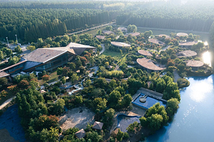 【大促】金湖水上森林·港府君澜温泉度假酒店1晚+金湖水上森林景区门票+ 浑水摸鱼项目体验，棋牌室畅玩，免费垂钓