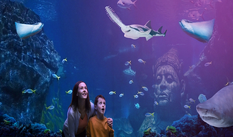 【曼谷网红打卡地】曼谷暹罗海洋世界|杜莎夫人蜡像馆门票 快速入园|亲子乐园|鲨鱼企鹅游乐园