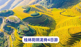桂林阳朔+龙脊梯田+遇龙河景区+漓江精华游四日游【8人~漓悠悠纯玩·龙脊吊脚楼|双人竹筏+三星船+兴坪古镇】
