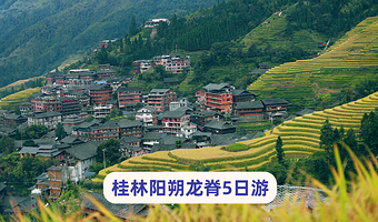 桂林阳朔+龙脊梯田+遇龙河景区+漓江三星游船五日游【8人·漓悠悠纯玩·住龙脊吊脚楼~4人可升独立团|多套餐】