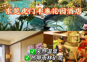 【2大2小套票】东莞虎门丰泰花园酒店住1晚+无限次热带雨林温矿泉+自助早餐+精灵乐园