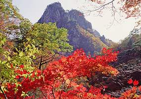 温州雁荡山+楠溪江风景旅游区二日游【雁荡山动车站接/住宿舒适酒店/可送南站/体验玻璃栈道】