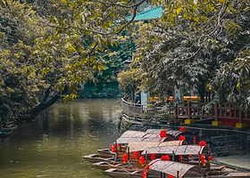 广东佛山千古情+佛山祖庙+顺德清晖园+逢简水乡+顺峰山公园花海+欢乐海岸2日游+私家团上门接送+顺德美食W08