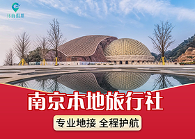 牛首山文化旅游区+南京总统府+夫子庙一日游【平时28人纯玩团丨半日一日自由选择丨可选游船或纪念馆】