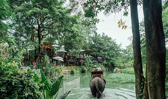 【打卡网红咖啡馆】芭堤雅大象村&望象咖啡馆半日游 骑大象|ATV|大象洗澡|表演 部分套餐酒店接送