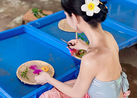 【私家团】西双版纳原始森林公园+曼掌村一日游【可选独立团或拼团★市区接送★可选三项非遗文化体验★孔雀放飞】