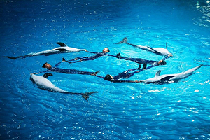 【酒店套餐】都市花园酒店（杭州乐园湘湖店）1晚+杭州长乔极地海洋公园单次票（可选人群）