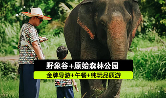 西双版纳野象谷+西双版纳原始森林公园一日游【萌趣导游+含午餐+纯玩无购物】