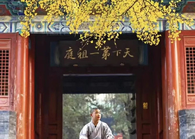 郑州少林寺+洛阳白马寺一日游【天天发团|武术表演|含门票|市区酒店接早|纯玩无购物】