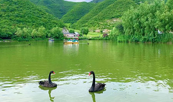 入住即送静之湖日场4H滑雪票|静之湖不限次景区票+不限次汤泉票+双人标间1晚含早+免费停车