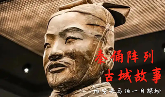 西安秦始皇帝陵博物院(兵马俑)一日游【上门接+多套餐可选+导游讲解】