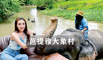 泰国芭提雅大象村骑大象／当日可订／Mong Chang Cafe门票+表演+一杯饮料+骑大象／中文客服