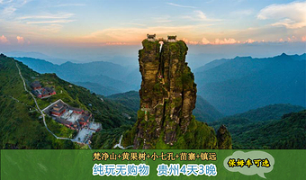 梵净山+荔波小七孔景区+黄果树景区+西江千户苗寨四日游【纯玩无购物|可选2+1头等舱保姆车】