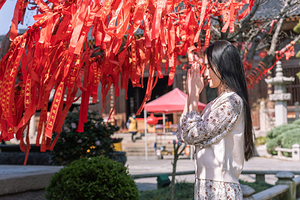 舟山普陀山风景区二日游【宁波出发接送站 含门票+导游讲解+往返船票+1早1正1晚酒店】