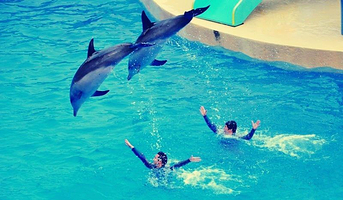 【酒店套餐】万国晟寓酒店（合肥明珠广场大学城店）1晚+合肥海洋世界单次票（可选人群）