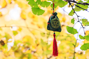 舟山普陀山风景区三日游【宁波出发接送站 含门票+导游+讲解+2早3正+往返船票+上行索道+景区小交通】