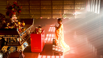 舟山普陀山风景区+溪口-滕头旅游景区+雪窦山四日游【宁波出发 含门票+导游+船票+溪口环保车+3早3正餐】