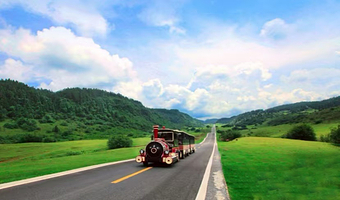 包车游丨上门接送丨武隆天生三桥+仙女山国家森林公园一日游丨真纯玩丨无购物丨无推销