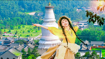 【品质出行】五台山品质二日游（一价全含住宿）