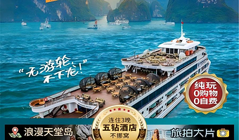 下龙湾+河内大教堂四日游【奢享纯玩0自费0购物豪华游轮畅游+全程五钻酒店+游轮自助餐+特色澳洲龙虾宴】