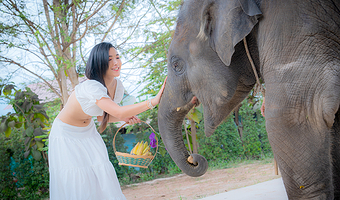 芭堤雅网红萌小象半日游【酒店接送／骑大象／喂养大象+合影／观动物和植物／水果自助／钓鳄鱼／实弹射击】