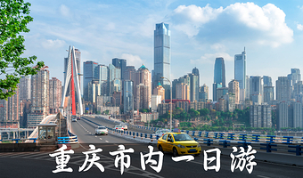 【可选导游】重庆动物园+李子坝轻轨+大礼堂+十八梯民俗风貌街+洪崖洞一日游【私家团 行程可微调 不拼团 】