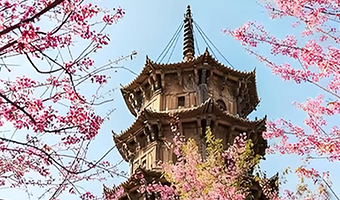 【拼小团】泉州少林寺+梧林传统村落+洛伽寺+黄金海岸+蟳埔村+泉州开元寺一日游【原创线路6人团|赠非遗簪花】