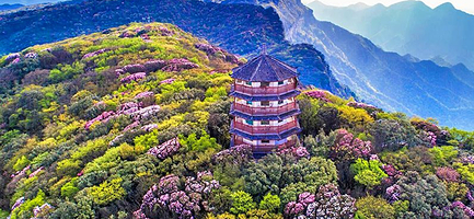 金佛山+天星小镇一日游【重庆出发】