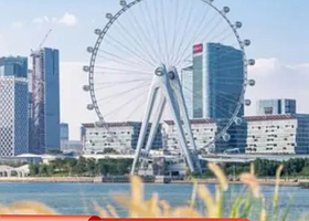 深圳宝安西湾红树林公园+南头古城+荷兰花卉小镇+欢乐港湾+西乡夜市街一日游【看日落+逛夜市+专车专导+可拼团】