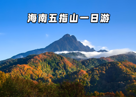 五指山水满河热带雨林风景区+五指山黎峒文化园+水满毛纳生态旅游区一日游【三大景区畅玩+三亚接送】