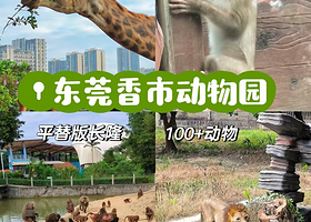 【距动物园驾车6分钟】珑珠酒店(东莞寮步大润发店)住1晚+2大1小香市动物园门票