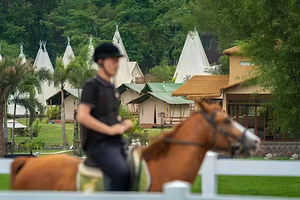 桂林阳朔云端马术俱乐部【花海野骑观光/专业教练教授骑马技巧/含全套马术装备/免费提供停】