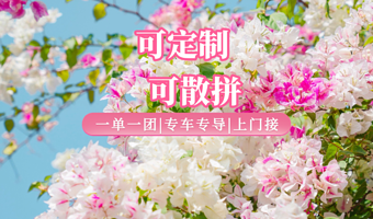 深圳甘坑古镇+仙湖植物园+大梅沙海滩+中英街一日游【即定即走+私家团+上门接送+一单一团】