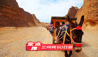 兰州黄河石林国家地质公园一日游【观22道湾/饮马沟大峡谷 /羊皮筏驴拉车特色体验/2人起发】