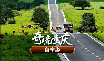 【包车游】武隆天生三桥+仙女山国家森林公园一日游（1单1团|土著老司机让旅行更自由更便捷，说好即走）