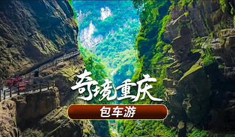 【包车游】武隆天生三桥风景区+龙水峡地缝一日游（纯玩无购物，门票需自理）