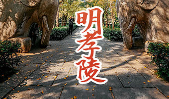 明孝陵半日游【橄榄游●明孝陵 2H人工讲解 私享小团 专业资深讲师领讲 明孝陵讲解】