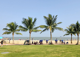 珠海大剧院+珠海渔女+圆明新园+唐家湾古镇一日游【望桥驿站观港珠澳大桥+生蚝主题餐|佛山出发＋私家团上门接送】