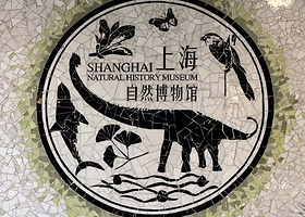 上海自然博物馆一日游【自然馆门票（可选）+精品小团+优选讲师专业讲解2小时服务】