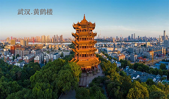 湖北省博物馆+东湖听涛景区+武汉大学+户部巷+黄鹤楼+武汉长江大桥+江汉关大楼+江汉路一日游【可选16人小团】