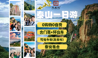 泰山风景区+玉皇顶+天外村+中天门一日游【满分点评/泰安集合/天天发团/可选午餐/0购物纯玩/含往返环山车】