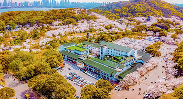 【红嘴鸥季节限定】住太湖鼋头渚风景区内看红嘴鸥★无锡樱花山庄1晚 +双早+双人鼋头渚景区门票