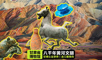 甘肃省博物馆·认证讲师2小时深度讲解·可含门票预约·可订私家团