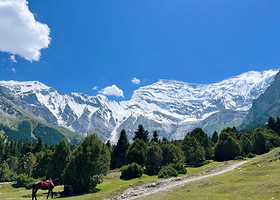 【拼小团】喀什奥依塔克冰川公园一日游【2—6人起订独立出行，包车游】